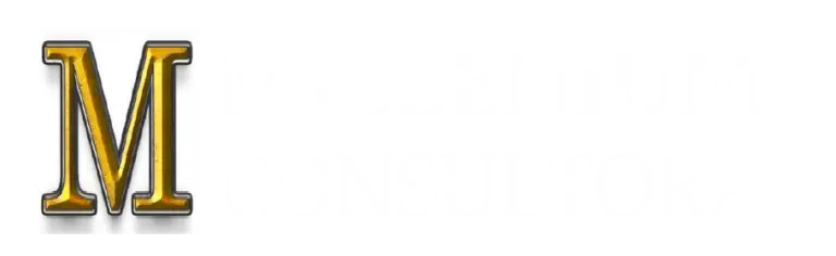 Millenium Energy